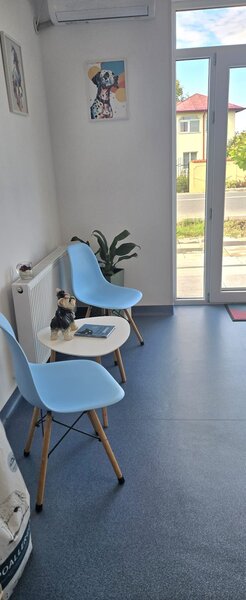 Medic veterinar full -time Clinceni, Ilfov