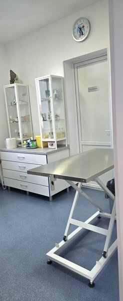 Medic veterinar full -time Clinceni, Ilfov