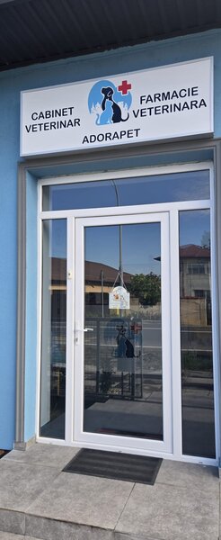 Medic veterinar full -time Clinceni, Ilfov