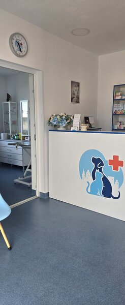 Medic veterinar full -time Clinceni, Ilfov