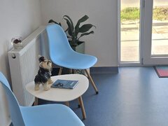 Medic veterinar full -time Clinceni, Ilfov